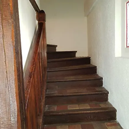 Les Polyanthas Daire *